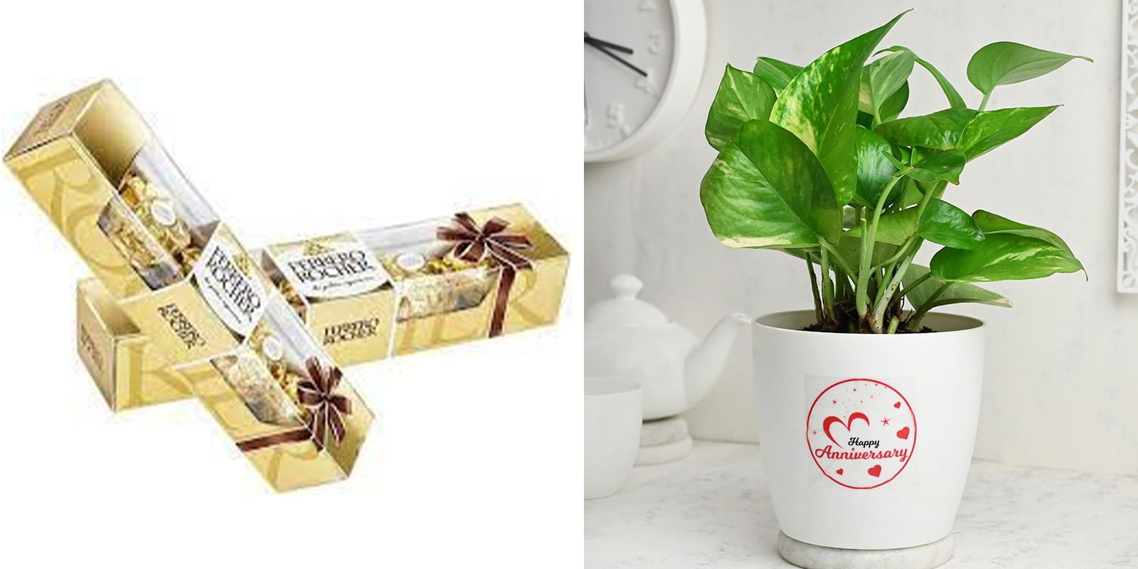 Fenesta Plant Combo Product 